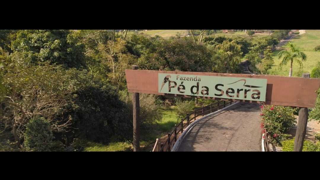 Fazenda Pé da Serra 2.mp4_snapshot_04.24.243